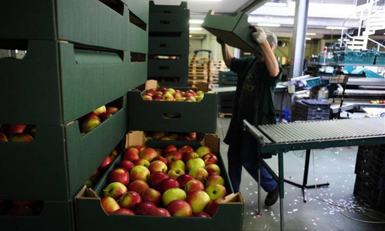 Ρωσία: Η άρση του εμπάργκο εισαγωγών τροφίμων θα βοηθούσε την Ελλάδα
