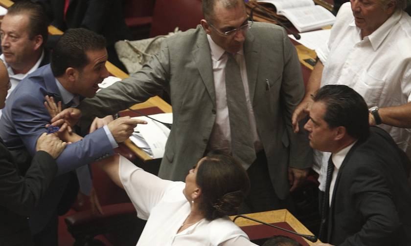 Μνημόνιο: Παραλίγο να πιαστεί στα χέρια με βουλευτή των ΑΝΕΛ ο Άδωνις (photos)