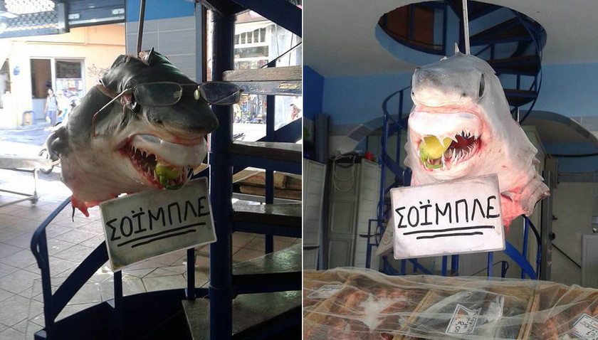 Ο Σόιμπλε έγινε καρχαρίας και viral...