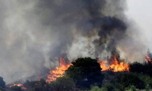 Μεγάλη φωτιά στη Νεάπολη Λακωνίας - Εκκενώθηκαν χωριά (video)