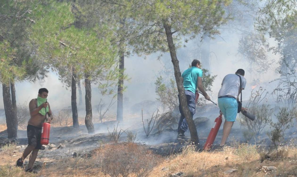 Πυρκαγιά: Μέτωπο φωτιάς και στη Μαλακάσα