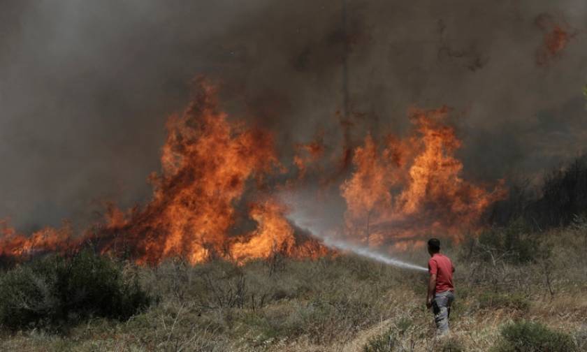 Πυρκαγιές: Εκκενώθηκαν τρεις κατασκηνώσεις στη Μαλακάσα