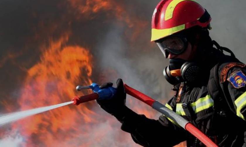 Πυρκαγιές: Υπό έλεγχο η φωτιά στη Βοϊδοκοιλιά Μεσσηνίας