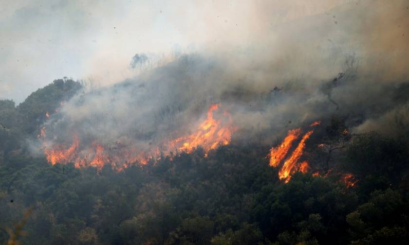 Πυρκαγιές: Νέο μέτωπο φωτιάς καίει στη Ρόδο
