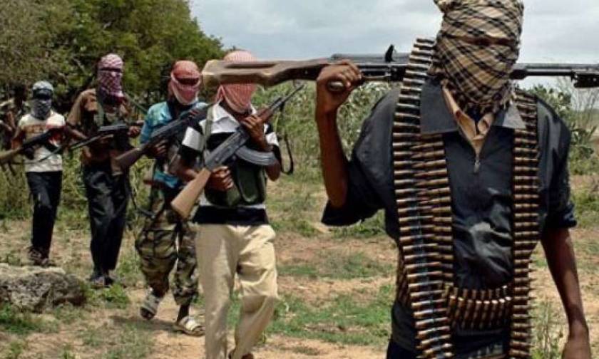 Νίγηρας-Τσαντ: Επιχειρήσεις εναντίον της Μπόκο Χαράμ με δεκάδες νεκρούς