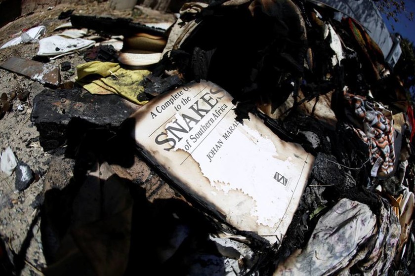 Φωτιά – Καρέας: Στάχτη κι αποκαϊδια άφησε πίσω της η πυρκαγιά (photos)  