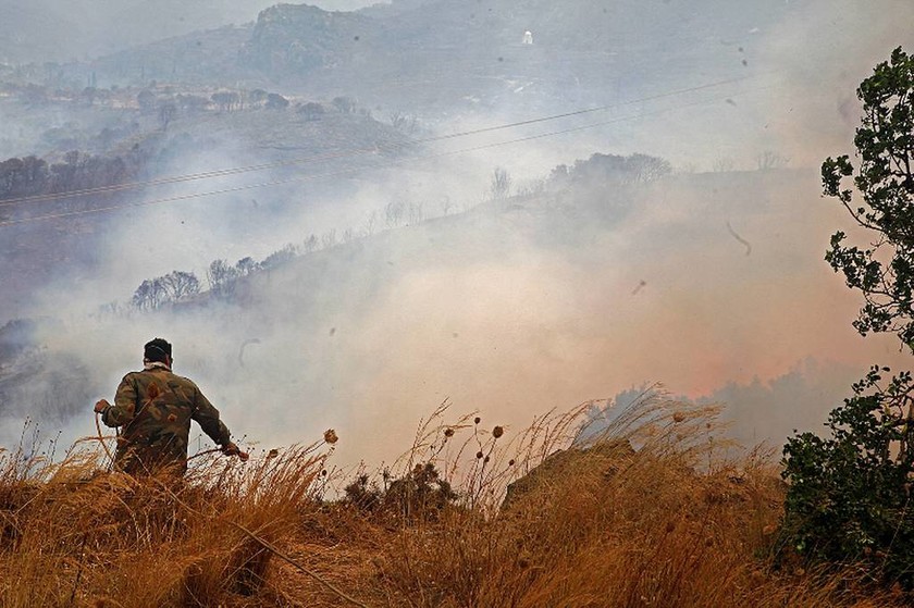 Μεγάλες καταστροφές από την πυρκαγιά στη Λακωνία (photos)