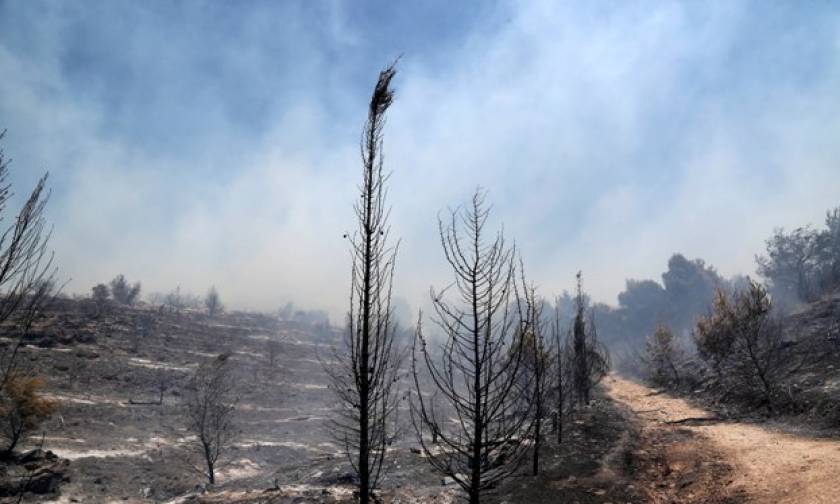 Σε ύφεση τα πύρινα μέτωπα - Σε επιφυλακή οι πυροσβεστικές δυνάμεις για τη φωτιά της Ζακύνθου