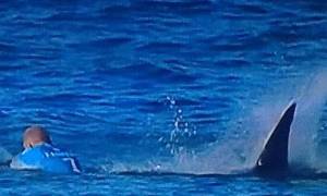 Βίντεο σοκ: Καρχαρίες επιτέθηκαν σε σέρφερ κατά τη διάρκεια αγώνα!