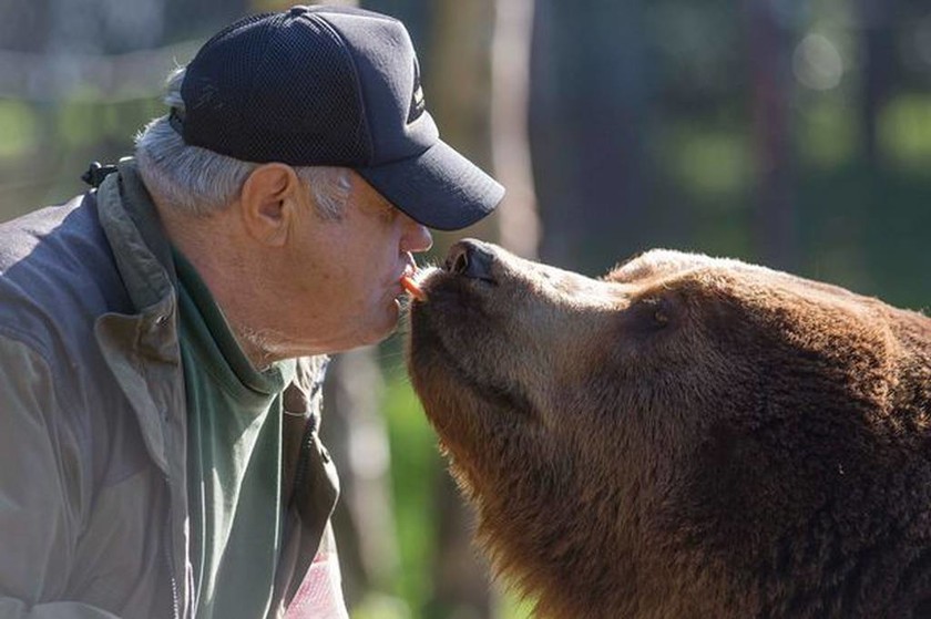 Γνωρίστε τον άνθρωπο που κοιμάται με τις αρκούδες και τις ταΐζει με το… στόμα! (video)