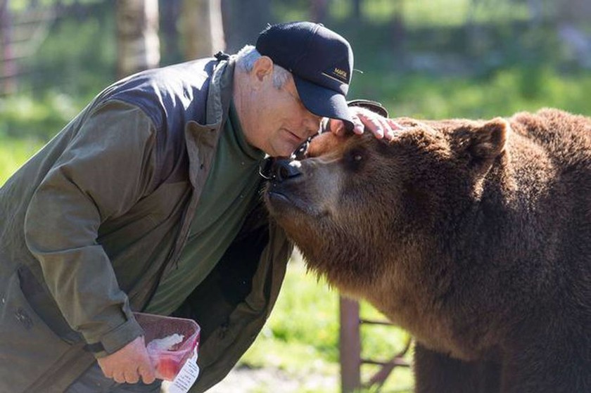 Γνωρίστε τον άνθρωπο που κοιμάται με τις αρκούδες και τις ταΐζει με το… στόμα! (video)