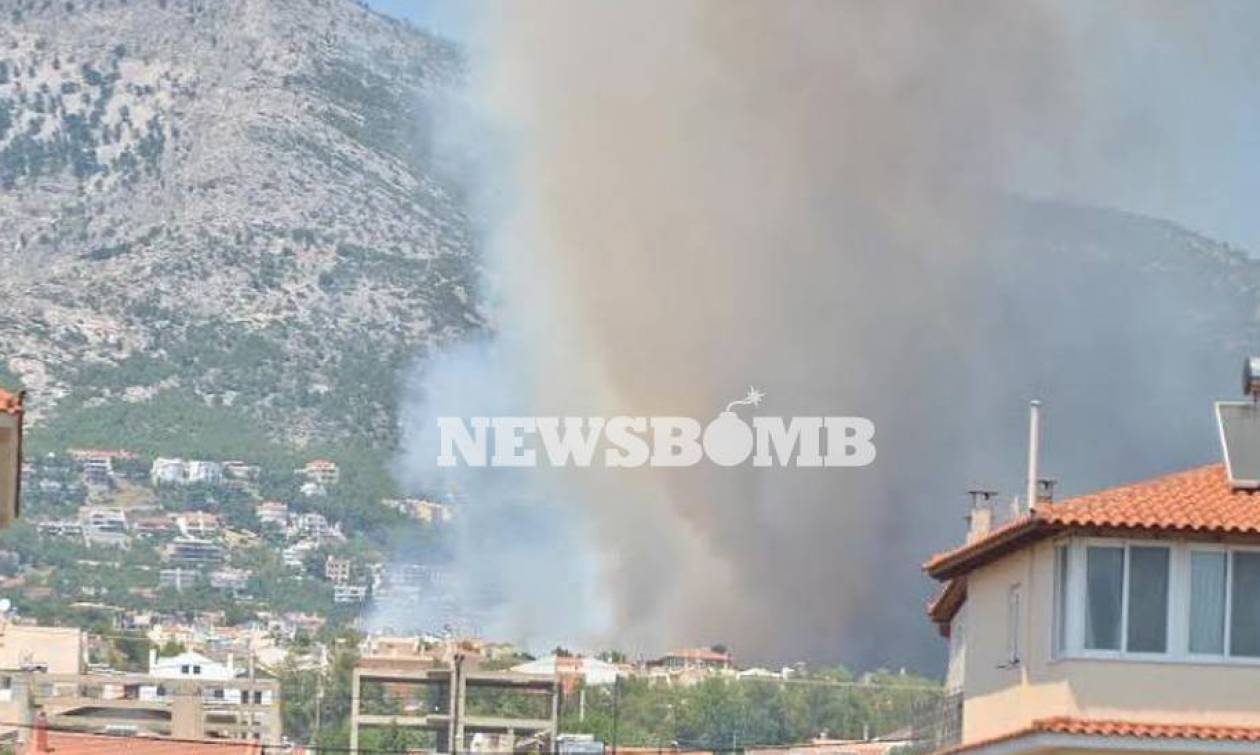 Πυρκαγιά Πάρνηθα-Δήμαρχος Αχαρνών: «Ελεγχόμενη η κατάσταση»