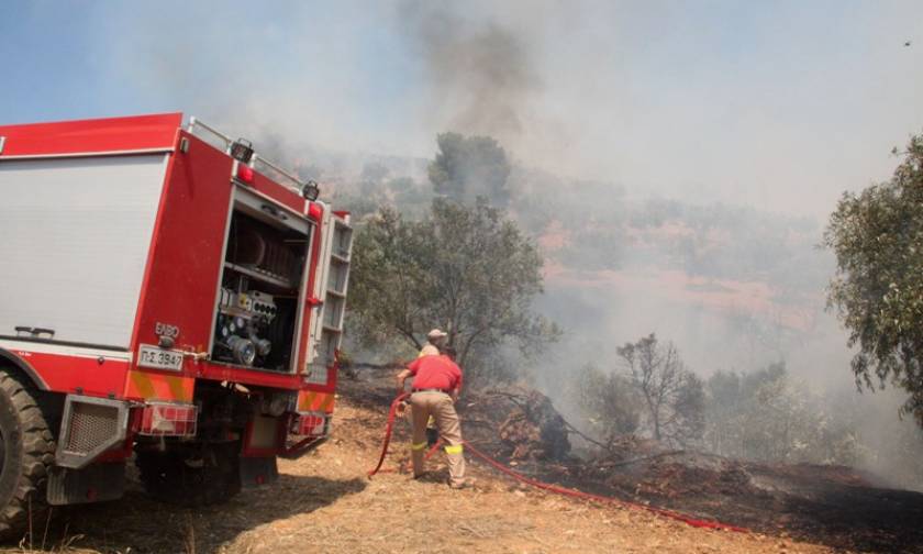Πυρκαγιά - Αργολίδα: Δύο νέα μέτωπα ξέσπασαν σχεδόν την ίδια ώρα