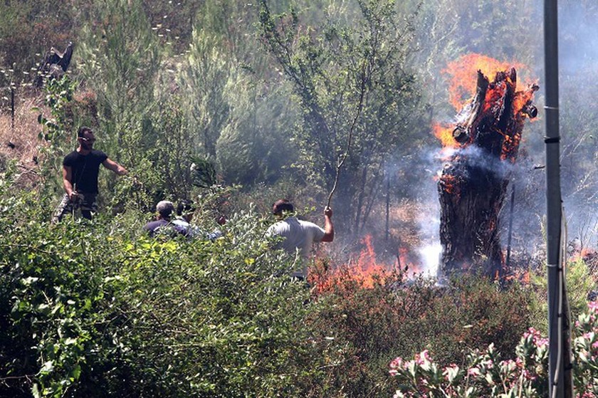 Πυρκαγιά - Σταμάτα: Οι πρώτες εικόνες από την περιοχή (photos)