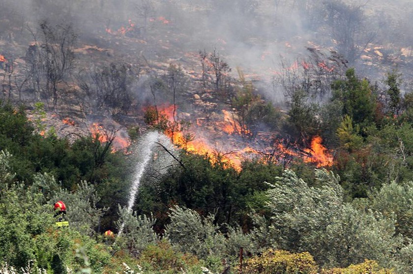 Πυρκαγιά - Σταμάτα: Οι πρώτες εικόνες από την περιοχή (photos)
