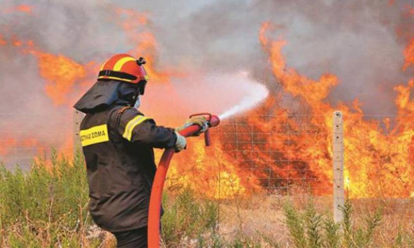 Ηλεία: Σε ύφεση η πυρκαγιά στο Κουνουπέλι