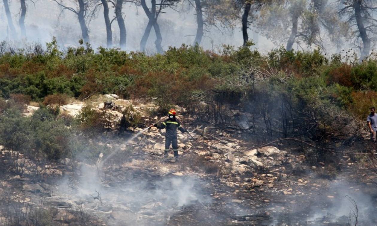 Καλαμάτα: Υπό έλεγχο η φωτιά που ξέσπασε στη χωματερή Φιλιατρών Μεσσηνίας