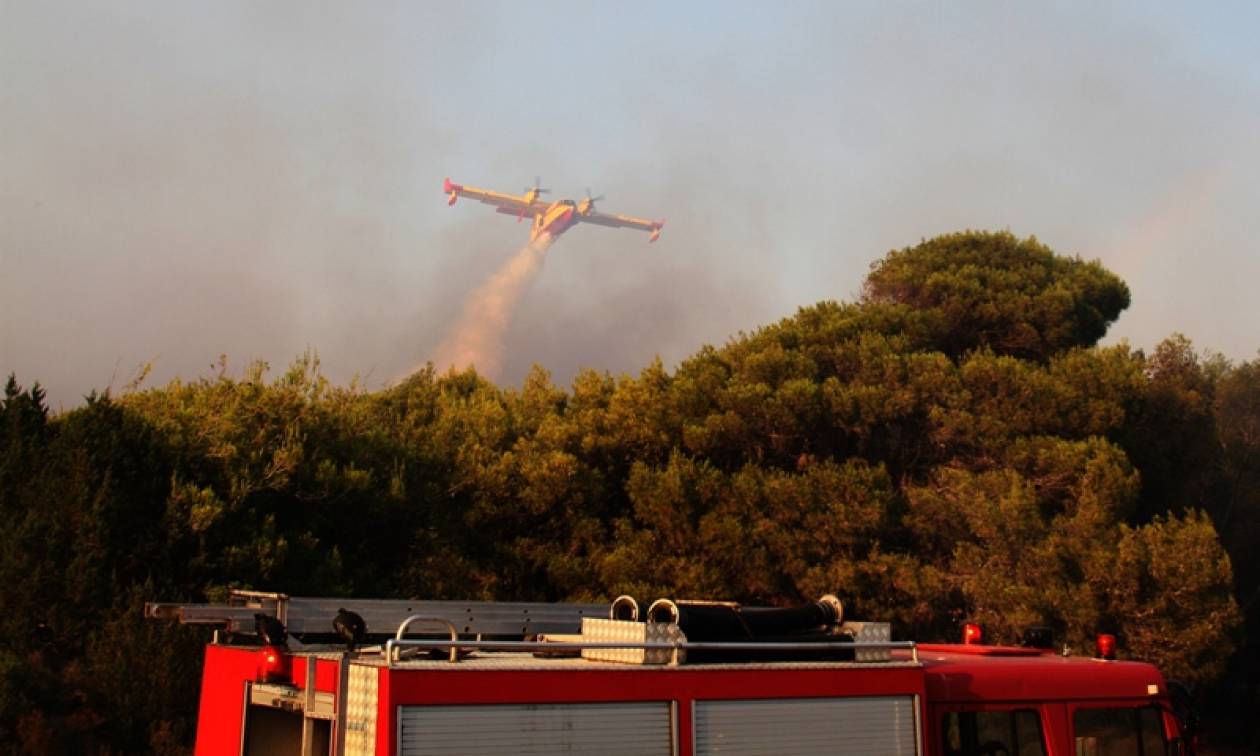 Οριοθετήθηκε η πυρκαγιά στο Αυλάκι - Συνεχίζει το καταστροφικό της έργο αυτή στην Ερμιονίδα