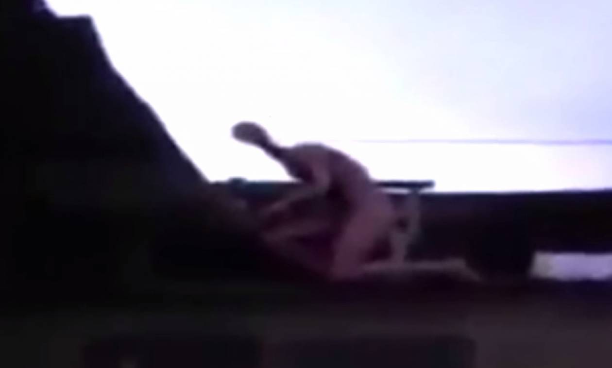 Μυστηριώδες πλάσμα «προσγειώθηκε» σε στέγη σπιτιού στο Μεξικό! (video)