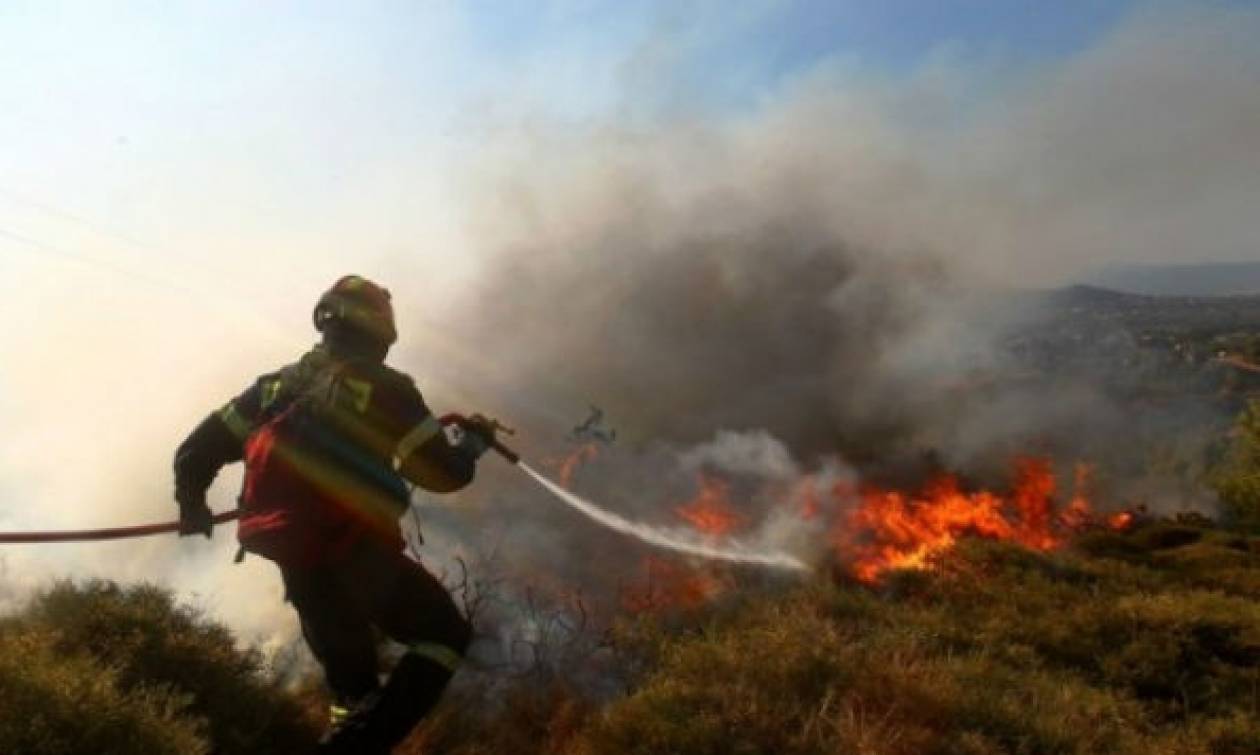 Πυρκαγιά στην Εύβοια - Γλύτωσε από τις φλόγες ο οικισμός Μακρυκάπα (video - photos)