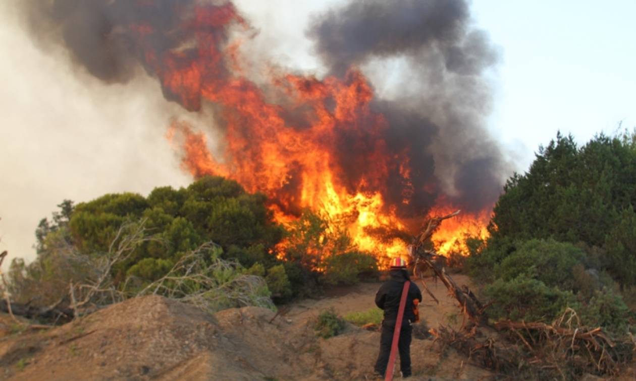 Δύο συλλήψεις για την πυρκαγιά στην Εύβοια