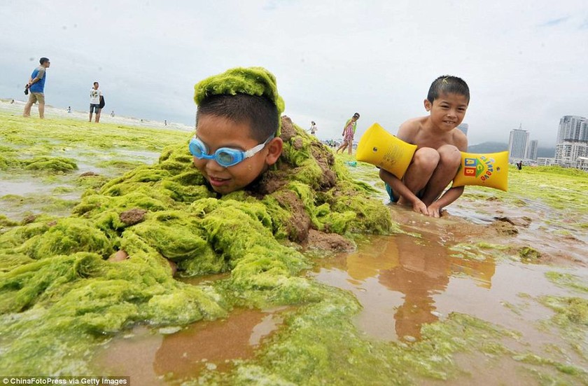 Και η θάλασσα έγινε πράσινη ... στην Κίνα (photos)