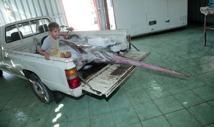 Αστακός: Ο ψαράς έμεινε άφωνος με το… κήτος που πιάστηκε στα δίχτυα του! (photos)
