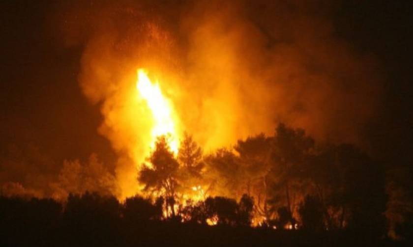 Ηράκλειο: Σβήστηκε πυρκαγιά που ξέσπασε σε αγροτική περιοχή