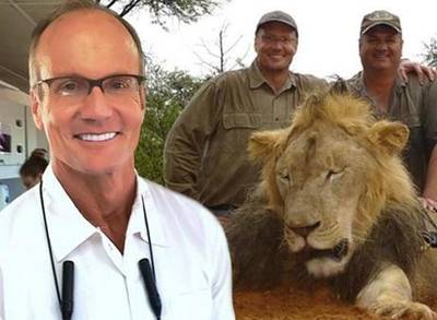 Cecil the Lion Zimbabwe Conservation Group to