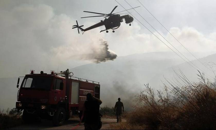 Μάχη με τις φλόγες στο Μαρκόπουλο - Η φωτιά κατακαίει χαμηλή έκταση