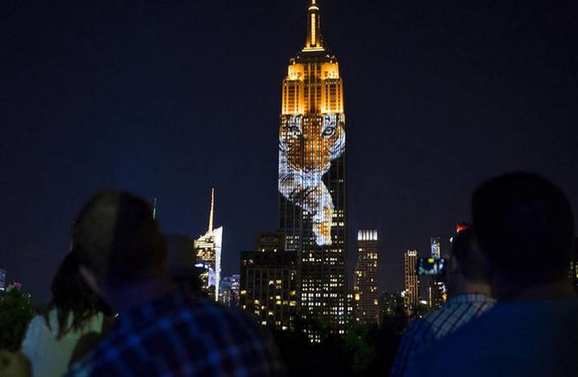 Ζώα που κινδυνεύουν με εξαφάνιση στην πρόσοψη του Empire State Building (photos)