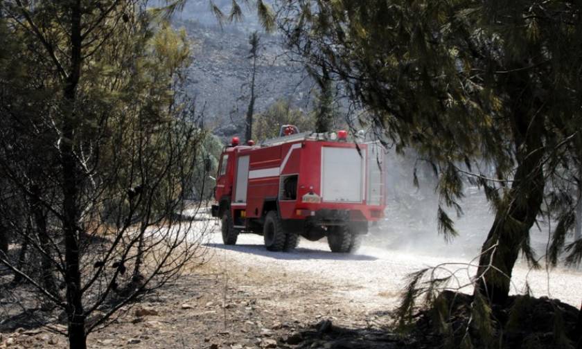 Στο «κόκκινο» ο κίνδυνος πυρκαγιάς σε Αττική και Εύβοια