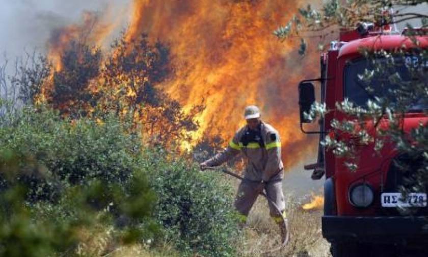 Υπό πλήρη έλεγχο η φωτιά σε δασική έκταση στο Κερατσίνι
