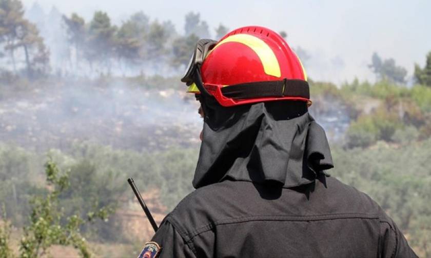 Φωτιά στο Κερατσίνι: Καταγγελία για εμπρησμό εξετάζει η πυροσβεστική