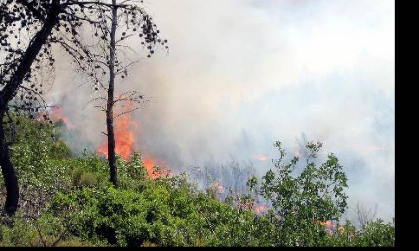 Κίνδυνος δασικών πυρκαγιών στην Κύπρο