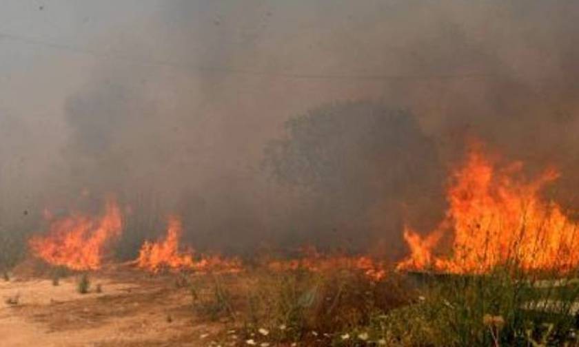 Υπό έλεγχο οι τρεις πυρκαγιές στην Αιτωλοακαρνανία