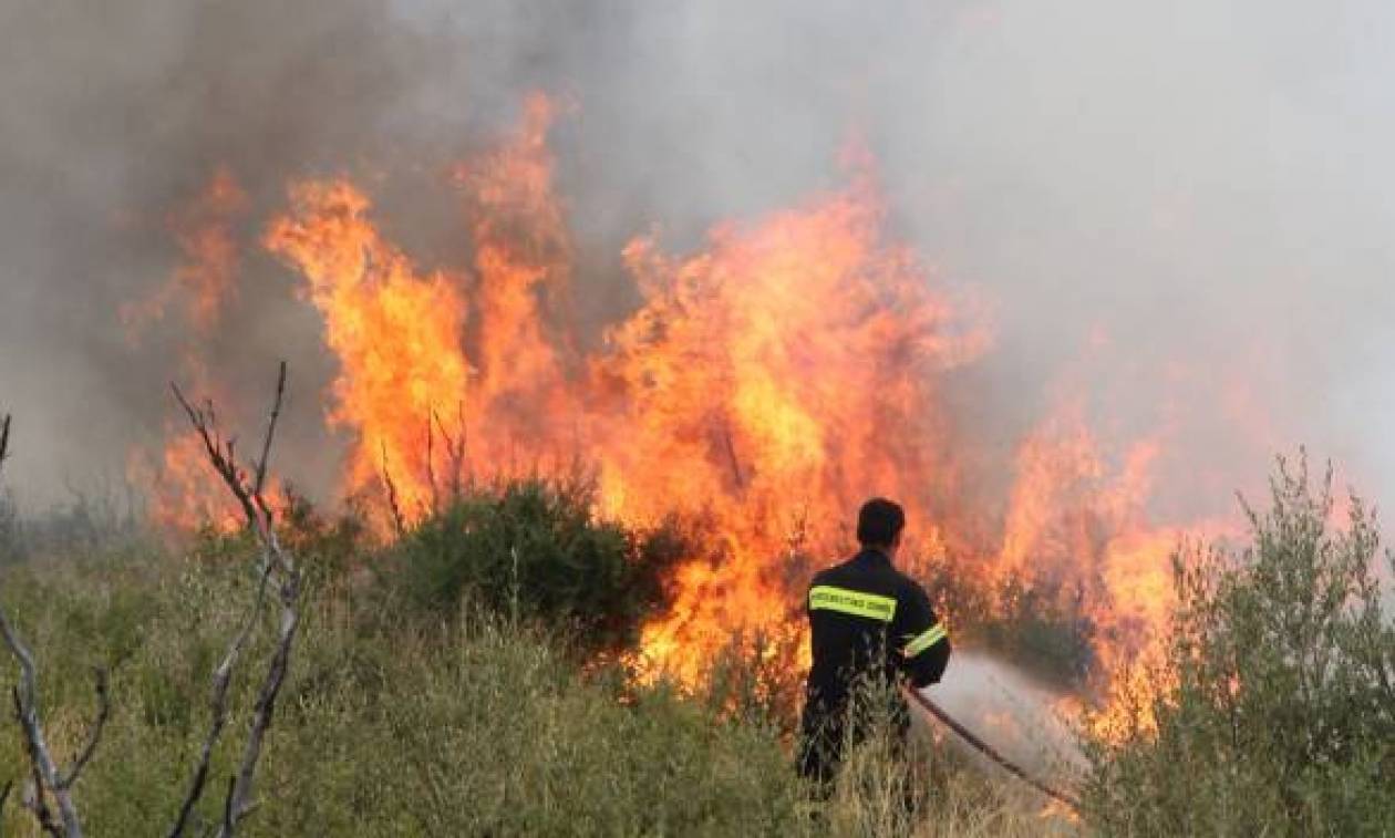 Ηράκλειο: Υπό έλεγχο η πυρκαγιά ανάμεσα στα χωριά Αποστόλους και Σμάρι
