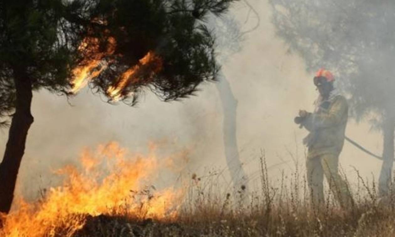 Υπό μερικό έλεγχο η πυρκαγιά στη Κέρκυρα - Σύλληψη Βρετανού για εμπρησμό στις Αφίδνες