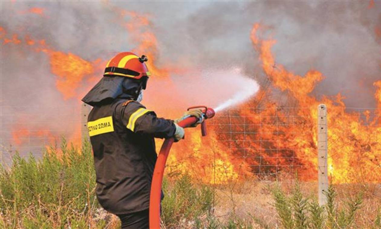 Πρέβεζα: Πυρκαγιά στα διόδια του Ακτίου - Απειλούνται κατοικίες