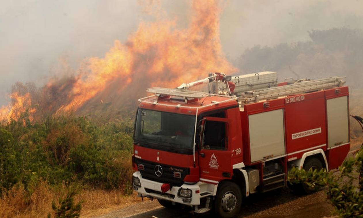 Μάχη με τις φλόγες δίνουν οι πυροσβέστες στην Πάλαιρο - Το πύρινο μέτωπο έχει έκταση πέντε χλμ