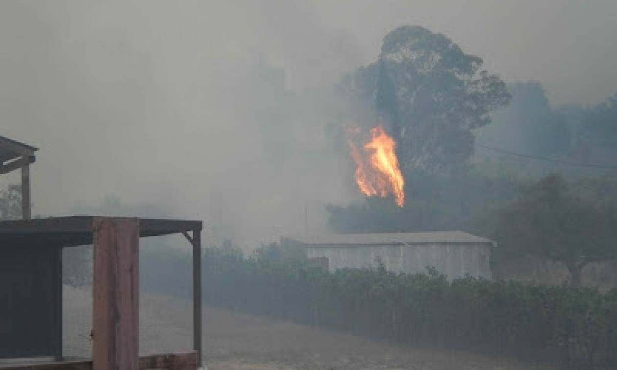 ΣΥΝΕΧΗΣ ΕΝΗΜΕΡΩΣΗ: Μεγάλη πυρκαγιά στην Αιτωλοακαρνανία - Εκκενώθηκαν σπίτια στην Πάλαιρο (photos)