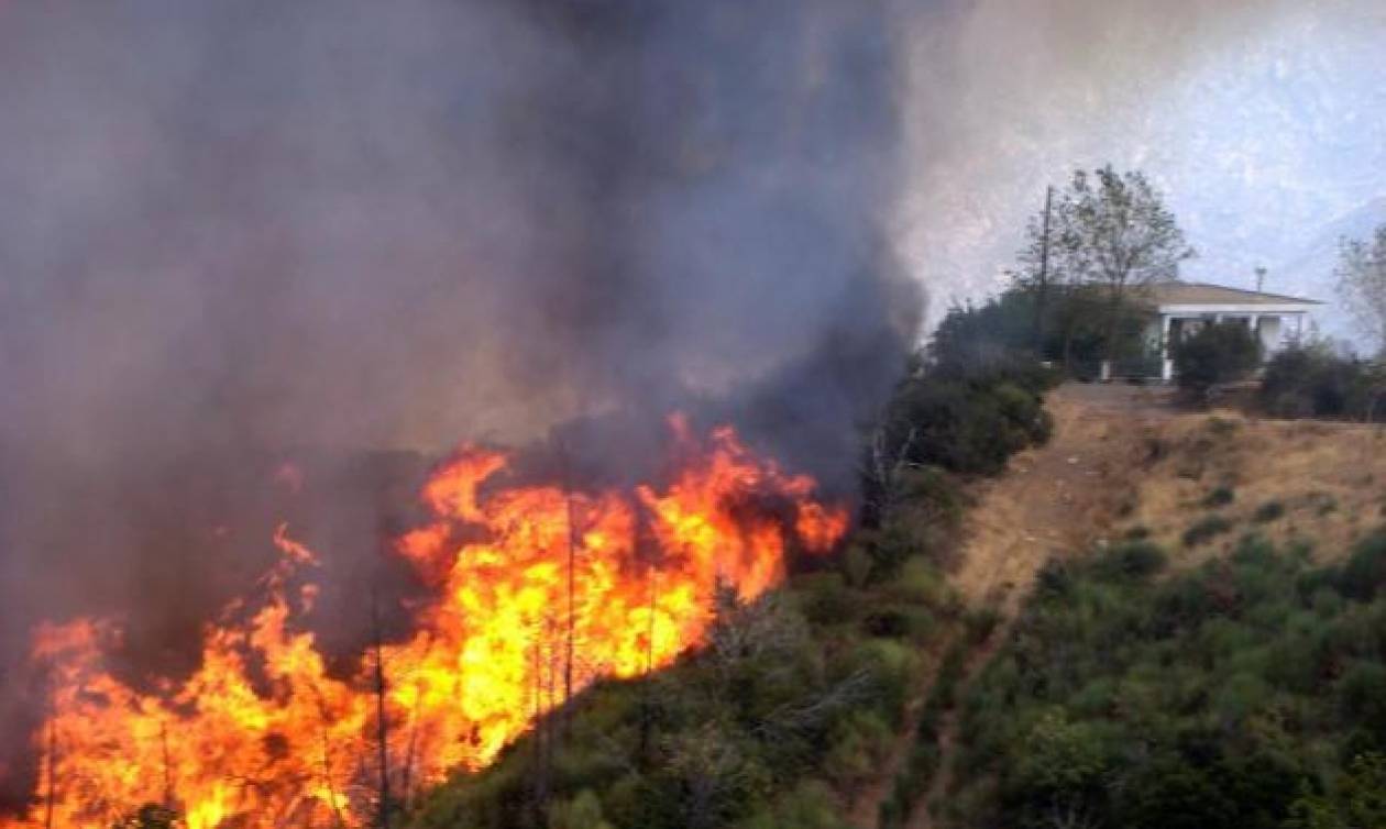 Χαλκιδική: Υπό μερικό έλεγχο η φωτιά στην Κασσάνδρα