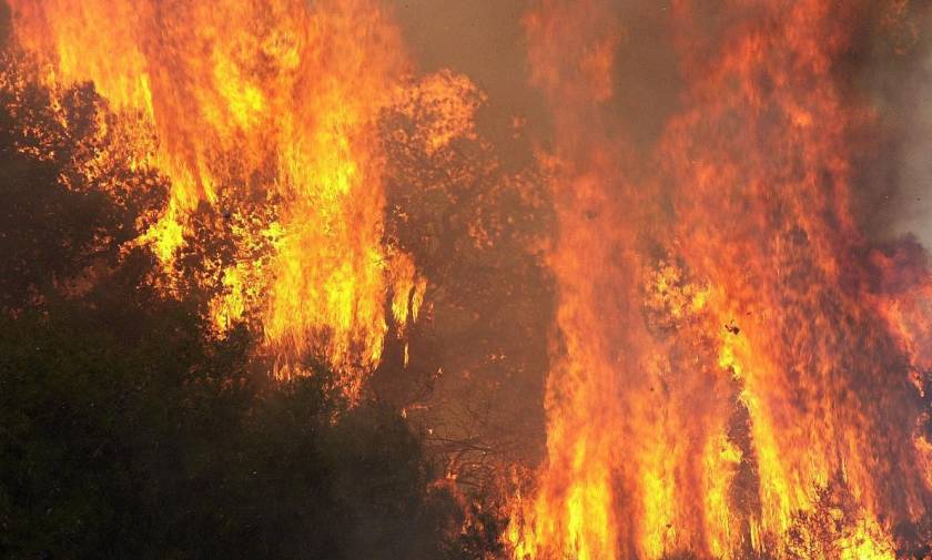 «Συναγερμός» στην Πυροσβεστική: Πυρκαγιά στην περιοχή Γιαννισκάρι στην Αχαΐα