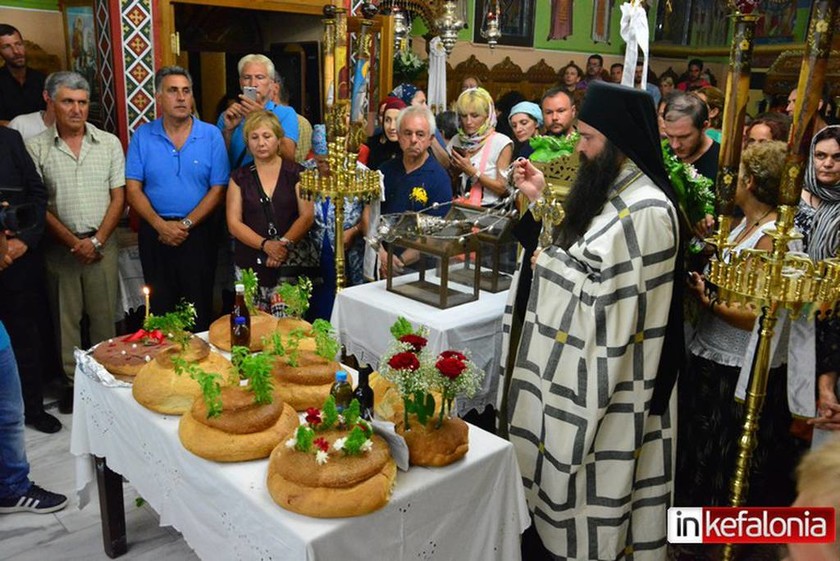 Εμφανίστηκαν και φέτος τα φιδάκια της Παναγίας στην Κεφαλονιά (photos&video)