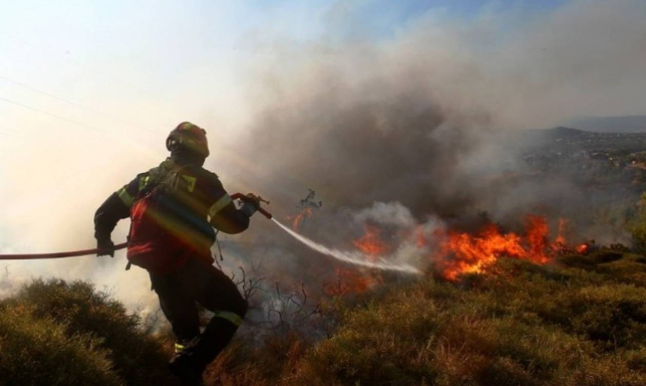 Ρόδος: Υπό έλεγχο τέθηκε η μεγάλη πυρκαγιά (photos&video)