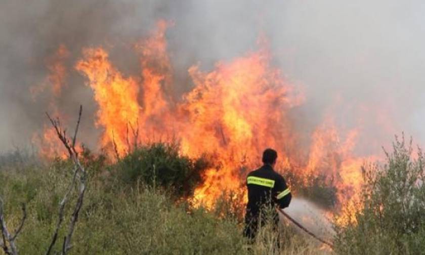 Υπό έλεγχο τέθηκαν φωτιές που εκδηλώθηκαν σε Αμόνι Κορινθίας και Ανάληψη Αμαλιάδας