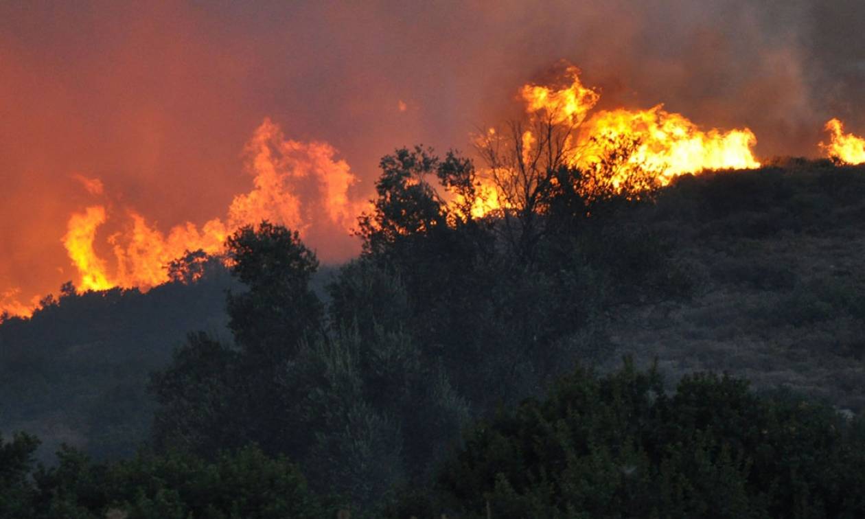 Άραξος: Σε εξέλιξη μεγάλη πυρκαγιά στο δάσος της Καλογριάς