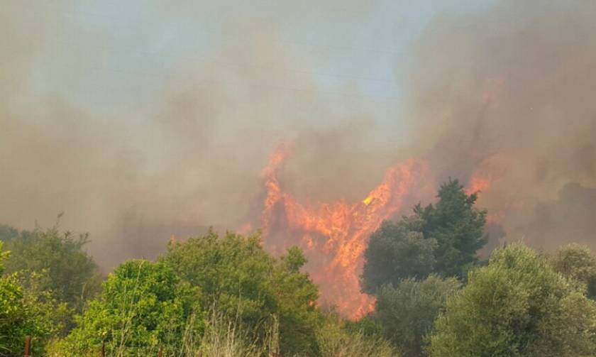 Μεγάλη πυρκαγιά στη Ρόδο (photos)