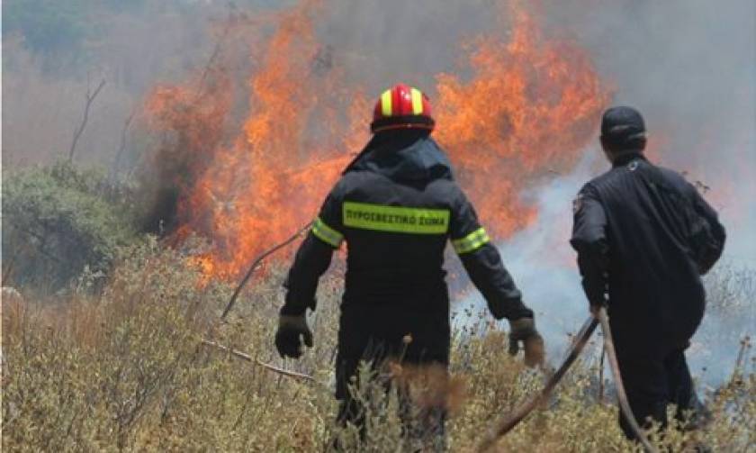Ζάκυνθος: Πυρκαγιά στο Καλαμάκι