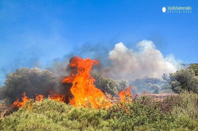 Ολονύχτια μάχη με τις φλόγες στη Ρόδο (Photos+Video)